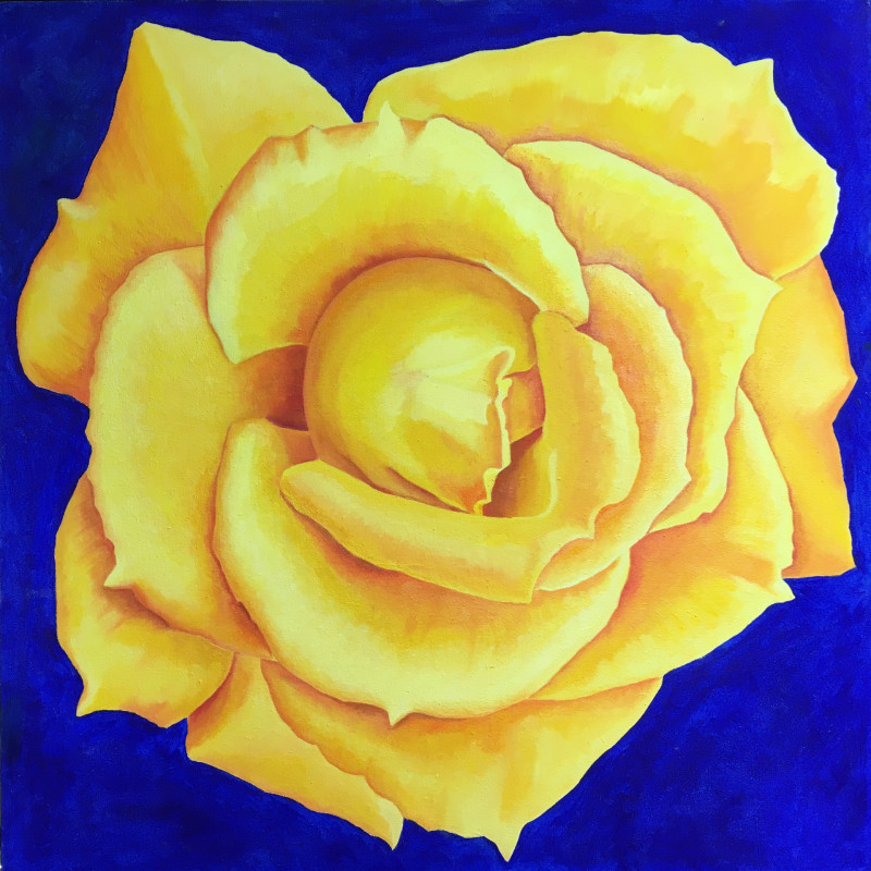 Yellow Rose original painting in oils © Dan Maier