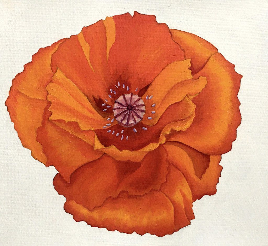 Red poppy oil painting © Dan Maier