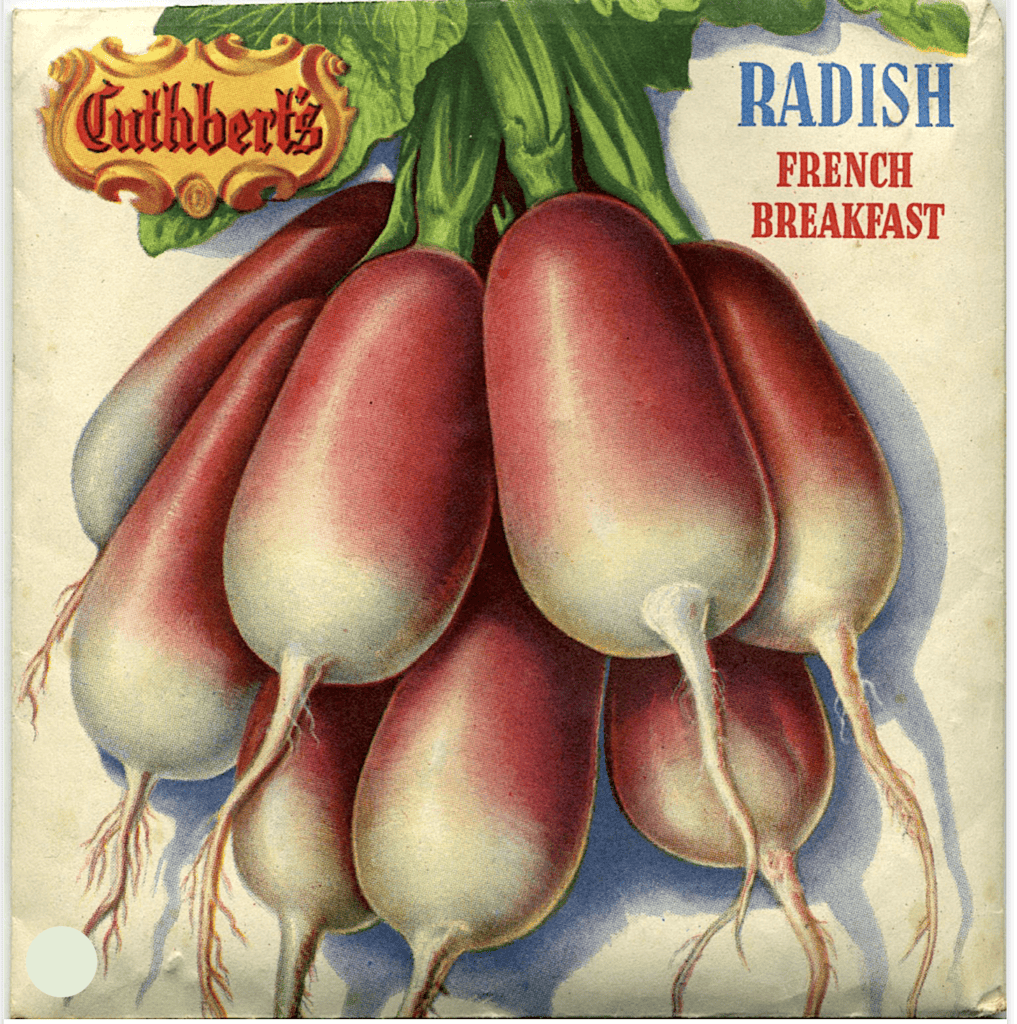 Cuthbert's Seeds packet radish